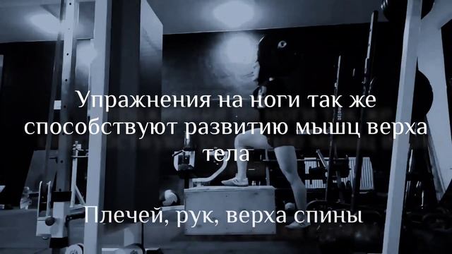 All About Leg Muscles (Всё о мышцах ног) смотреть онлайн