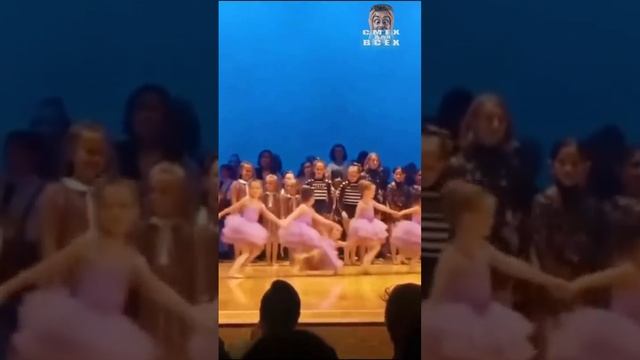 смешные видео