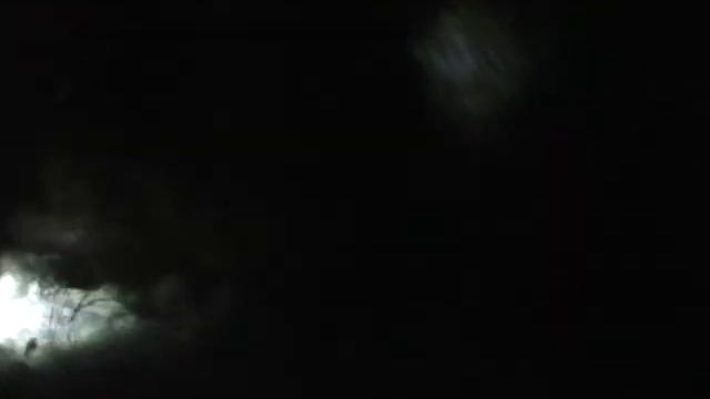 Охота на кабана ночью