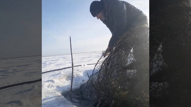 Очередной выезд на рыбалку. На снегоходе Буран . смотреть онлайн