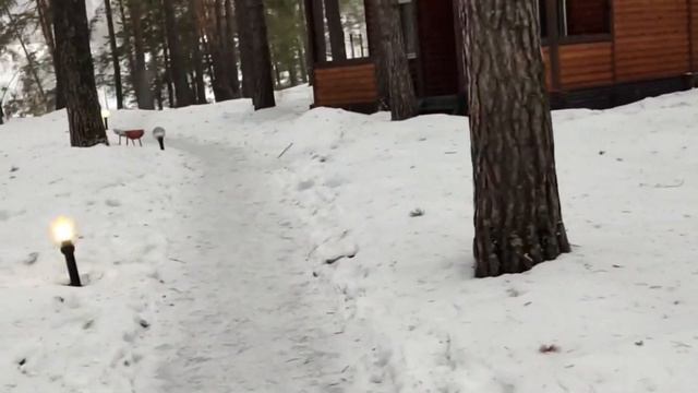 Парк-отель «Манжерок» на реке Катунь. Горный Алтай.