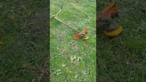 Честный отзыв о четырехтактной косе DAEWOO DABC 4ST