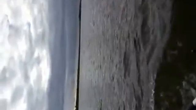 Рыбалка, Осень 2016, Спасск Рязанский, р Ока смотреть онлайн