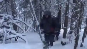 Медвежья охота рыбной ловли и охоты видео Bear охоты рыболовство и охота видео из 201
