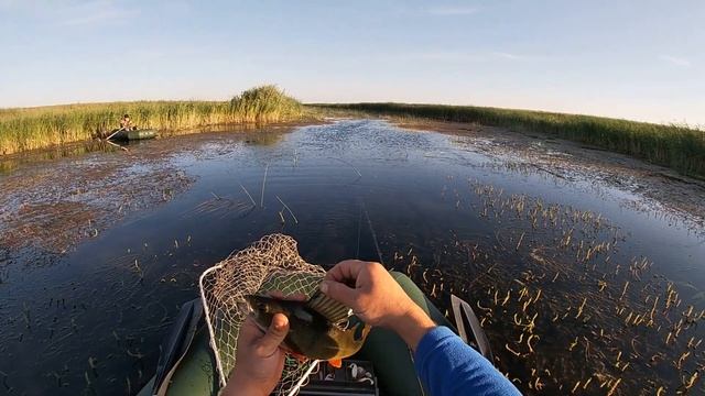 Рыбалка на Ишиме! 1 Часть! смотреть онлайн