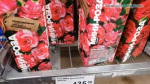 Леруа Мерлен. Розы, март 2023 год