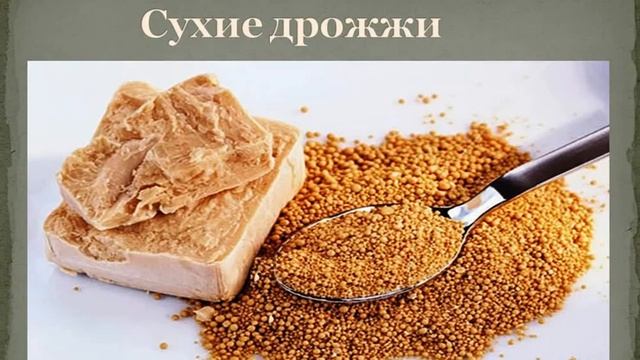 Хлебопекарные дрожжи предмет Товароведение 17 апреля