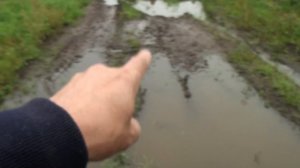 КОП ЦАРСКИХ МОНЕТ НА ДОРОГЕ НА УРОЧИЩЕ ПОИСК МОНЕТ С EQUINOX 800