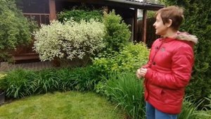 Видео журнал «Сады в отличной форме №21» Авторский сад дизайнера, к.б.н Екатерины Барсовой