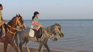 Отель Карибиан Сома Бей Катание на лошадях в Египте Horse club of the hotel Caribbean World Soma Ba