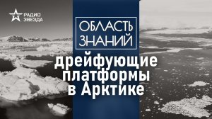 Как глобальное потепление повлияло на работу учёных в Арктике? Лекция океанолога Сергея Писарева