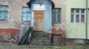 Калининград - Дом кошек