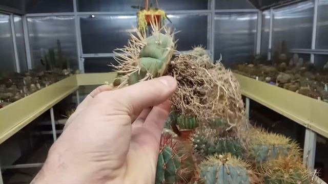 VID 20180128 174648