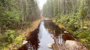 Путешествие по Карелии на вездеходах Шерп