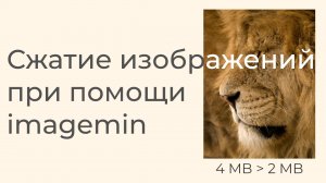 Сжатие изображений при помощи imagemin