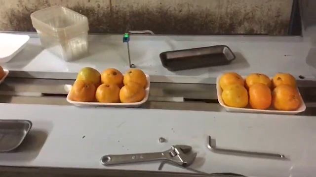 Машина для упаковки фруктов на подложке в пленку флоу пак