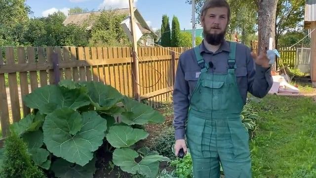 Такого эффекта я не ожидал // Мастерскую не узнать // Готовимся красить