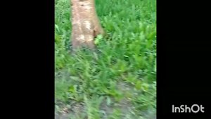 Какой-то клип про дружбу/любовь под музыку Майкла Джексона