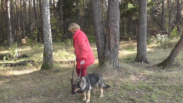 а-Звезда с Красных Прудов, НЧК фрагмент. смотреть онлайн