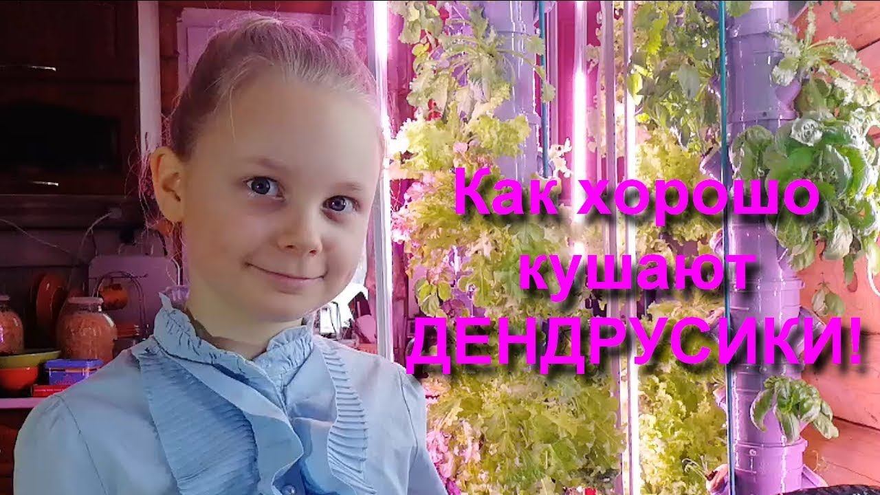 08 Настя и дендрусики. Прожорливые дендрусики. Червеферма