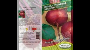 Обзор сорта свекла "Детройт" (характеристики, свойства, фото)