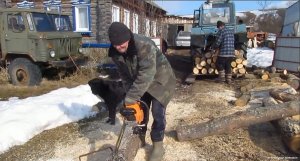 Один ДЕНЬ в ДЕРЕВНЕ. Пилим, возим дрова на ТРАКТОРЕ МТЗ-80!
