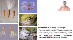Seed & Fruit Dispersal