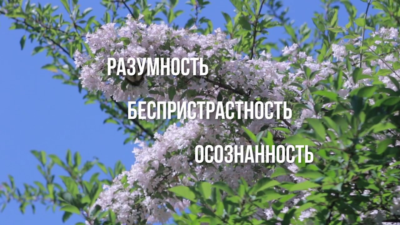 Влияние Рентгена