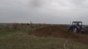 Культивация VS Дисковка