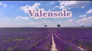 Valensole. Валансоль. Лавандовые поля Прованса