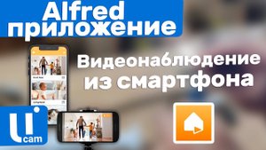 Как Из Телефона Сделать Камеру Видеонаблюдения Или ВИДЕОНЯНЮ. Приложение Alfred