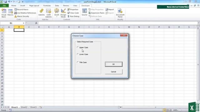 16. Adding Option Buttons In A Frame || VBA Tutorial || Lecture || Microsoft Excel ||