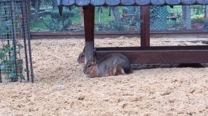 Парк ЛОГА - 26.09.2021.mp4