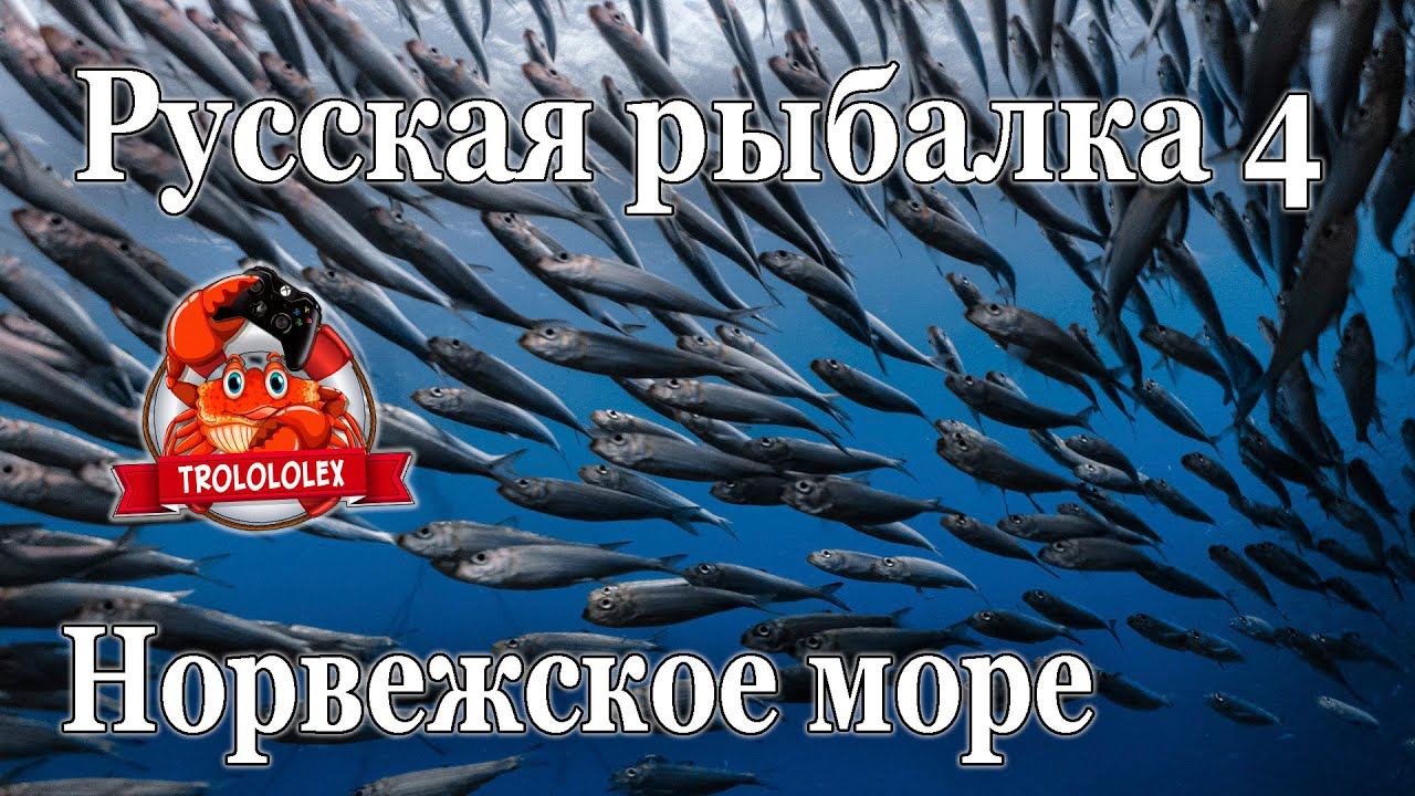 Русская рыбалка 4 Новогодний лайт 11 отборочный смотреть онлайн