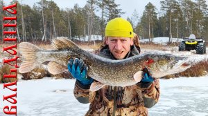 ПЕРВЫЙ ЛЁД Охота за зубастой ЦАРИЦЕЙ таёжных озёр | Ну что Бесмертные погнали