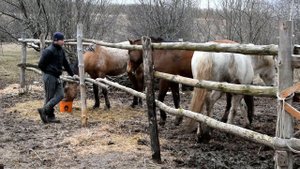 ПОЧЕМУ МЫ ЖИВЕМ В ТАКОЙ ГРЯЗИ...