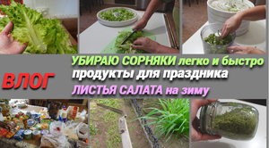 Убираю сорняки легко и быстро/Легкий способ сохранить листья салата на зиму/Закупили продукты/ВЛОГ