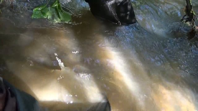 По тихому мою золото минишлюзом! САМОРОДОК!!!!