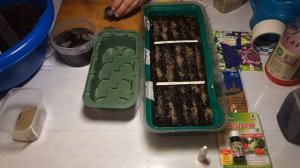 Посев лобелии на рассаду