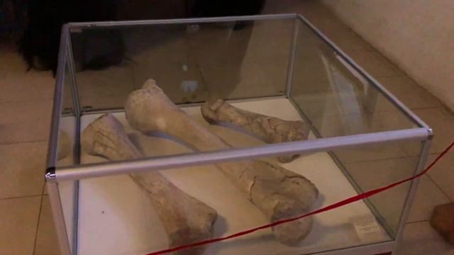 Костенки, Воронежская область