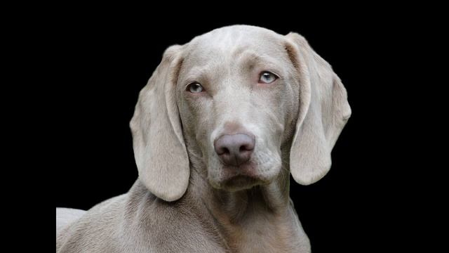 RELAXATION AND MEDITATION MUSIC FOR SLEEP/ музыка для снятия стресса! смотреть онлайн