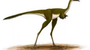 Tribute to Mononykus