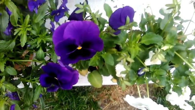 Sink holes blast ww3 смотреть онлайн