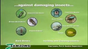 Zamzows Tree and Shrub Insecticide