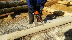 Вот так шкурят осину на срубы