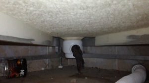 Плохой слив в душевой кабине Киеве