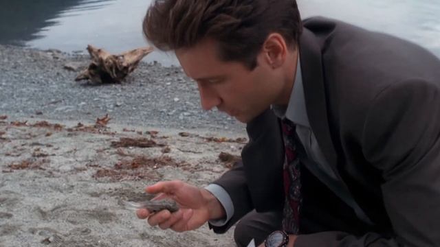 При какой температуре плавится песок? Секретные материалы (3 серия 1 сезона) смотреть онлайн