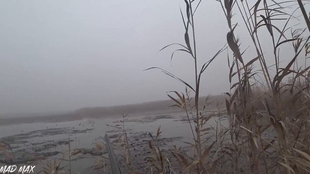 Гуси падают прямо в лодку. Декабрь... охота на гуся во льдах. Вертушка рулит. смотреть онлайн