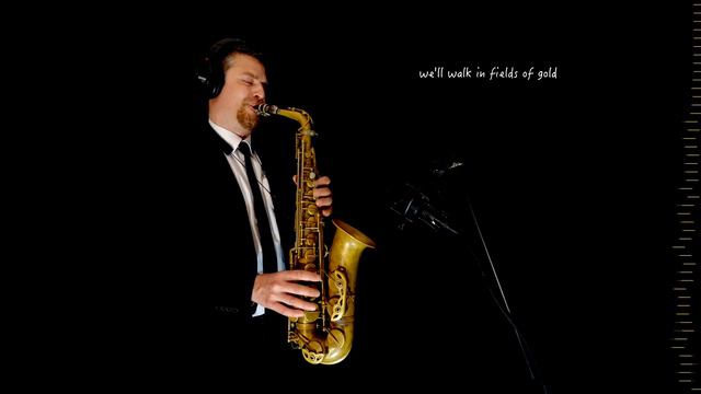 FIELDS OF GOLD - Sting - Alto Sax RMX - Free score смотреть онлайн