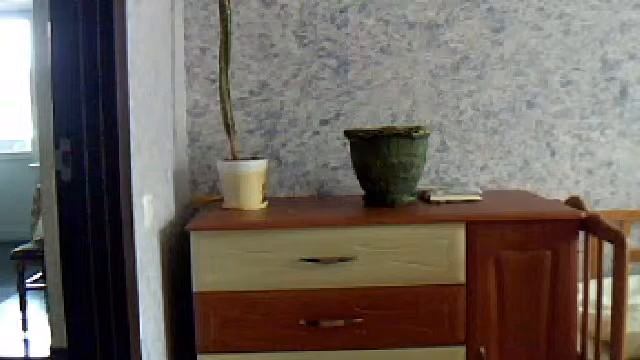 Видео с веб-камеры. Дата: 8 апреля 2014 г., 10:15. смотреть онлайн